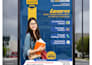 create premium and professional designs for post branding and digital contentetc